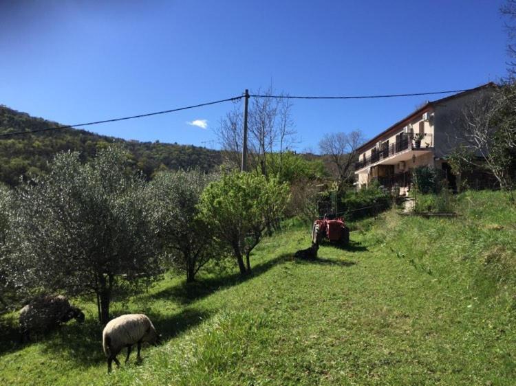 Salara Farmhouse Koper Exterior foto